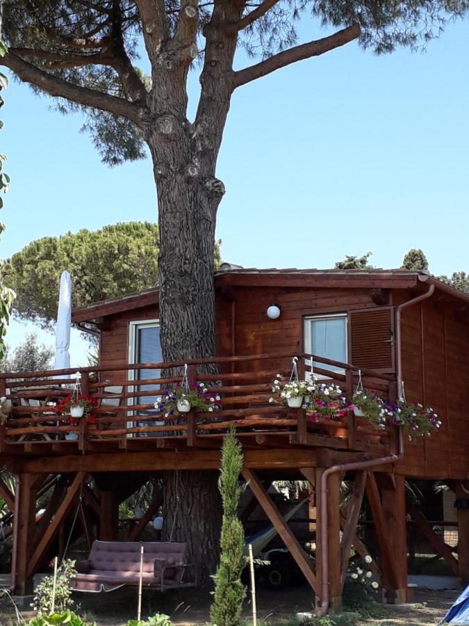 Il Vivaio Villa Tarquinia Luaran gambar
