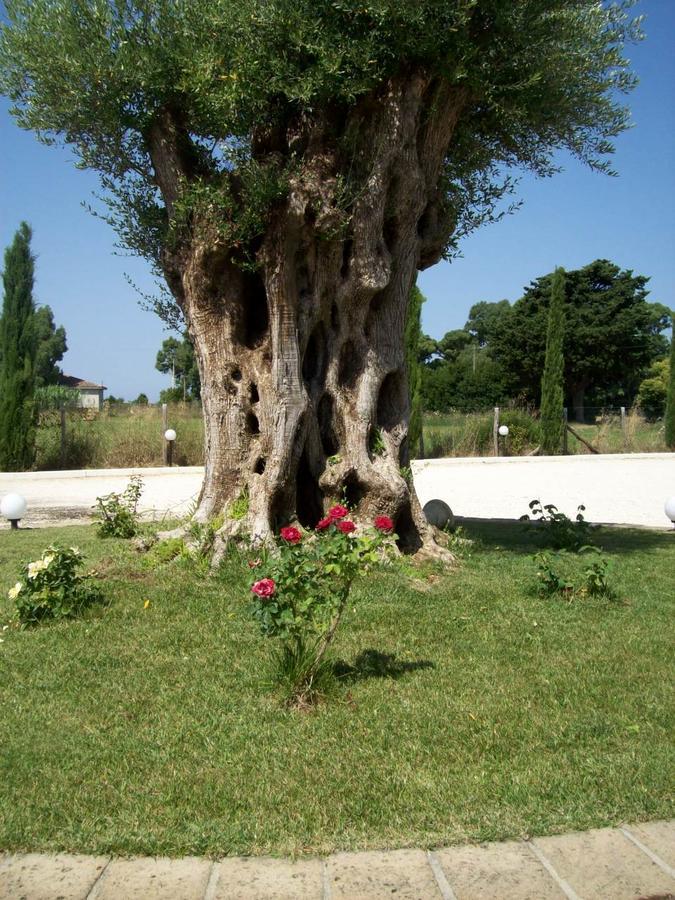 Il Vivaio Villa Tarquinia Luaran gambar